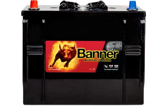 Banner Pool startovací baterie Buffalo Bull 125Ah  (010625130101)
