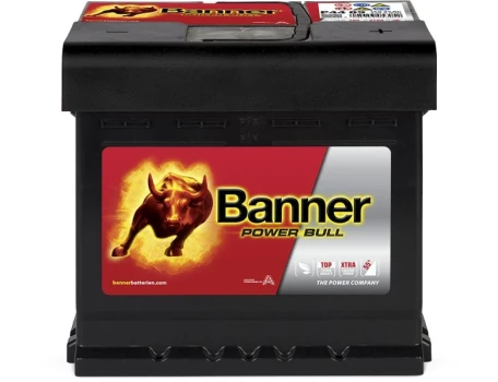 Banner Pool startovací baterie Power Bull 44Ah  (013544090101)