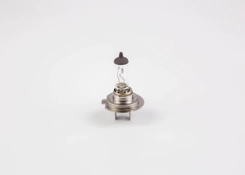 BOSCH Zarovka, dalkovy svetlomet Longlife Daytime WS  (1 987 302 078)