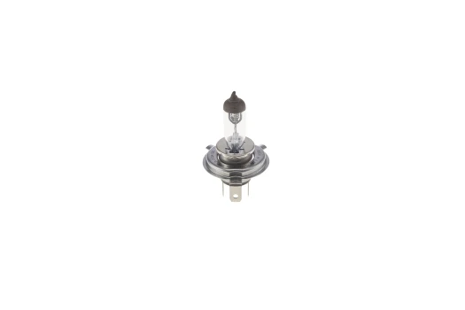 BOSCH Zarovka, dalkovy svetlomet Trucklight Maxlife WS  (1 987 302 742)