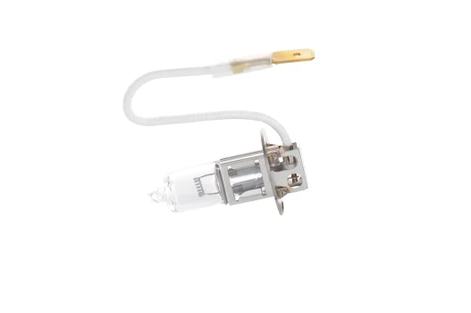 BOSCH Zarovka, dalkovy svetlomet Trucklight  WS  (1 987 302 431)