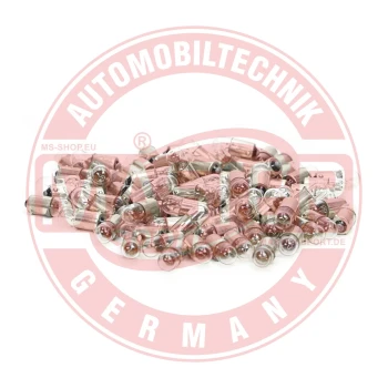 MASTER-SPORT GERMANY Žárovka, hlavní světlomet  (B218-PCS-MS)