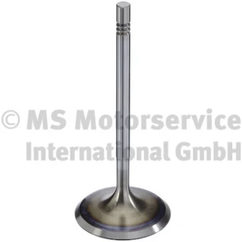 TRW Engine Component Sací ventil  (300104)