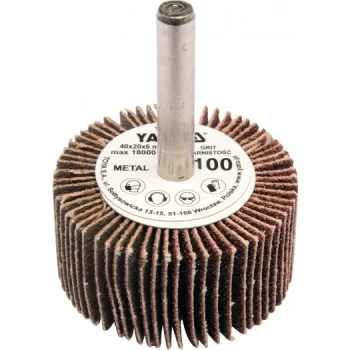Kotouč lamelový radiální 40x20 P-40 s hřídelí 6 mm YT-83351